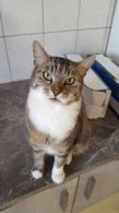 Cindy, nicht aus Marzahn